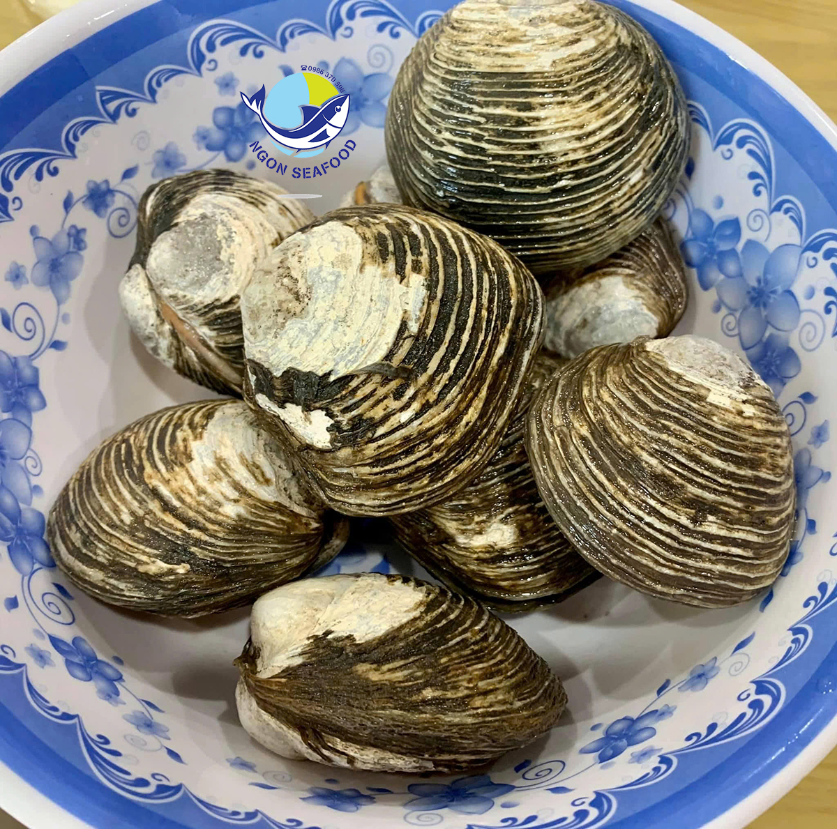 Ngán biển
