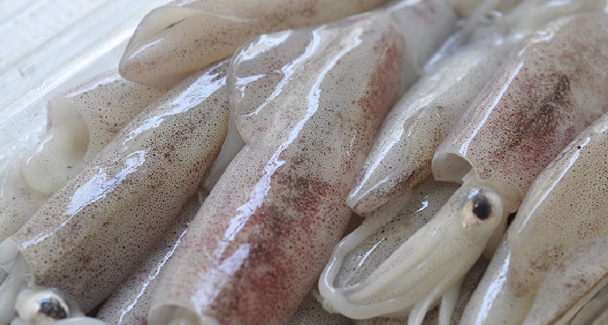 Mực nang Hạ Long