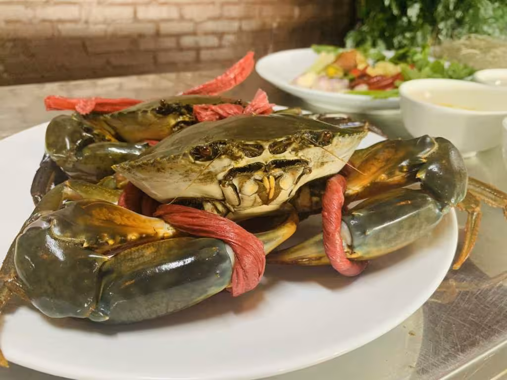 Bí quyết chế biến món cua om miến đậm đà hương vị biển Quảng Ninh
