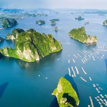 Hành Trình Ẩm Thực Quảng Ninh: Khám Phá Đặc Sản Theo Vùng Miền