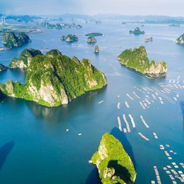 Hành Trình Ẩm Thực Quảng Ninh: Khám Phá Đặc Sản Theo Vùng Miền