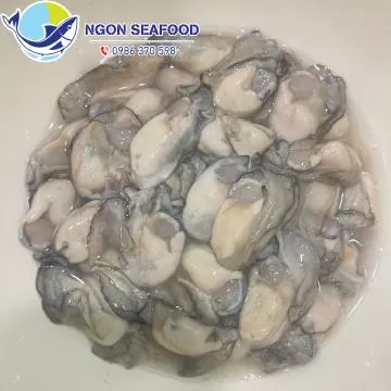 Hàu Sữa Quảng Ninh: Đặc Sản Vân Đồn Giàu Dinh Dưỡng, Ăn Ngon Khó Cưỡng!