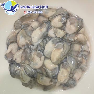 Hàu Sữa Quảng Ninh: Đặc Sản Vân Đồn Giàu Dinh Dưỡng, Ăn Ngon Khó Cưỡng!