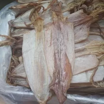 Bảng Giá Mực Khô Hiện Nay Bao Tiền 1kg? Tại Sao Lại Có Sự Chênh Lệch Giá?