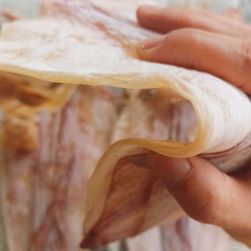 CÁC LOẠI MỰC KHÔ PHỔ BIẾN HIỆN NAY VÀ LOẠI NGON NHẤT