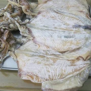 MỰC KHÔ MỐC CÓ ĂN ĐƯỢC KHÔNG? CÁCH XỬ LÝ VÀ BẢO QUẢN CHUẨN 100%