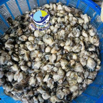 Hà Sú Quảng Ninh - Tinh Hoa Ẩm Thực Biển Khơi