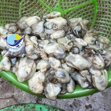 Nghề 