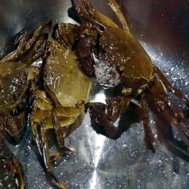 Lẩu cà ra Đồn Đạc: Tinh hoa ẩm thực mùa đông vùng cao Ba Chẽ