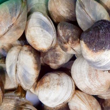 Cháo thưng Quảng Ninh: Đặc sản biển độc đáo khó cưỡng