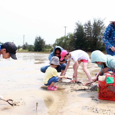 Gỏi tu hài: Đặc sản độc đáo vùng biển Quảng Ninh